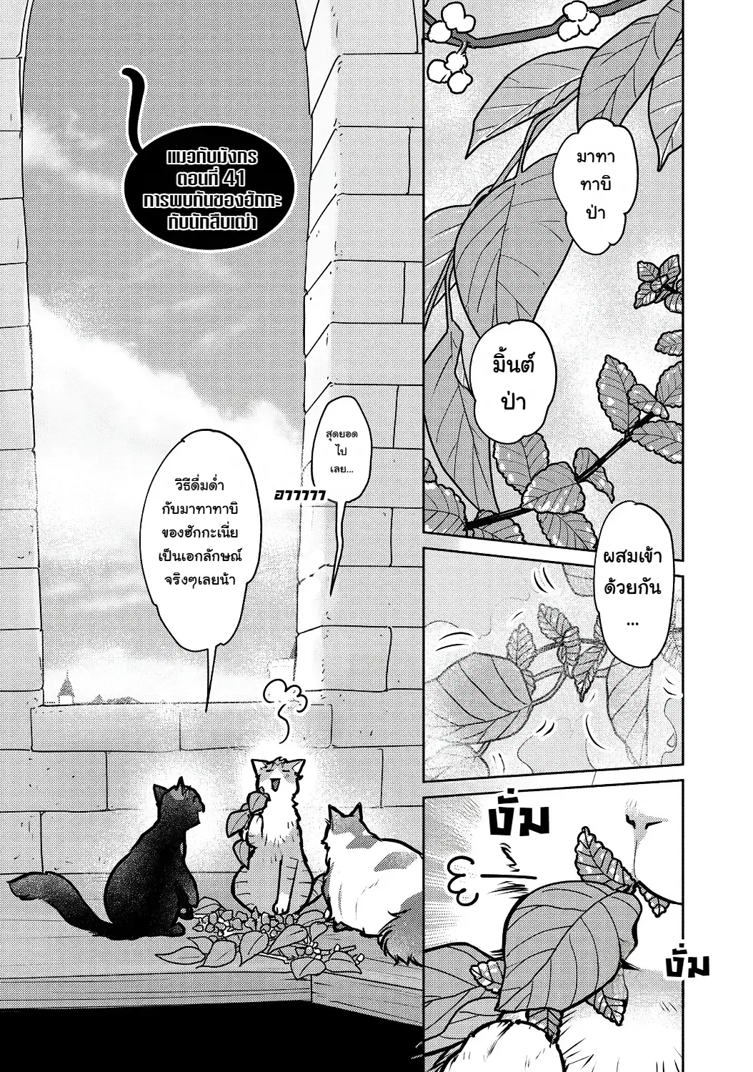 Neko to Ryuu ตอนที่ 41 หน้า 2