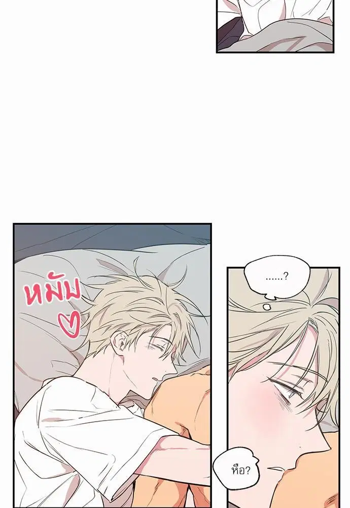 No Love Zone ตอนที่ 17 หน้า 3