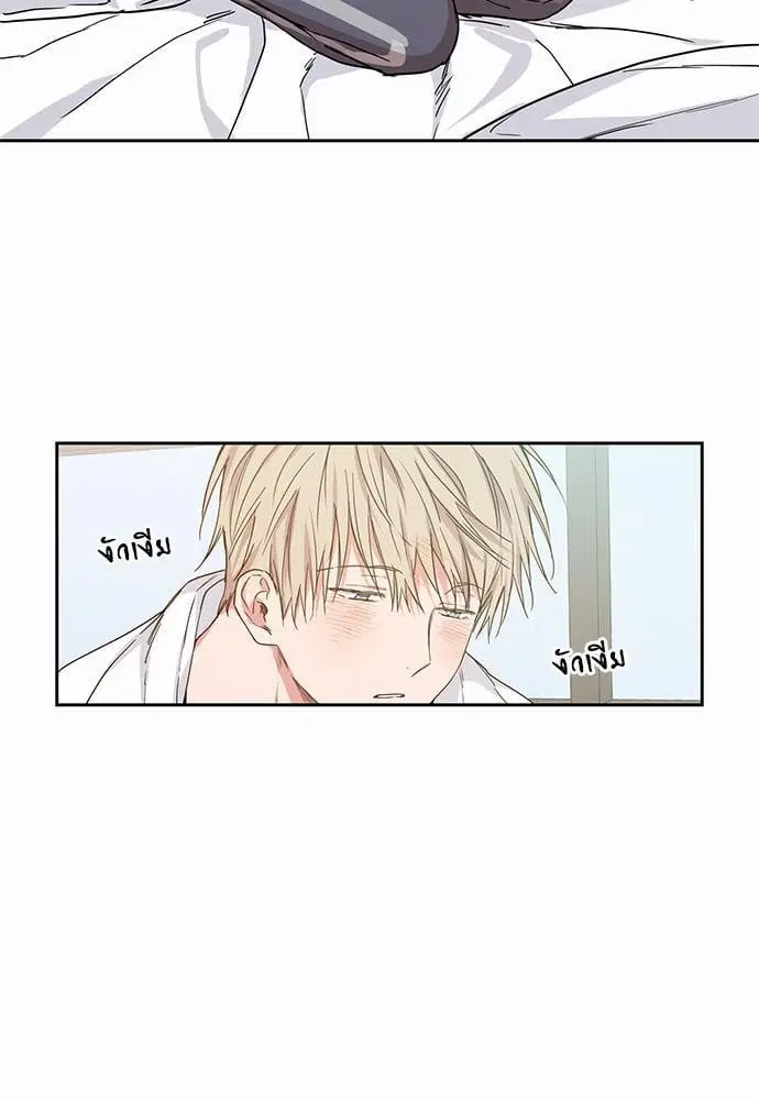 No Love Zone ตอนที่ 39 หน้า 3