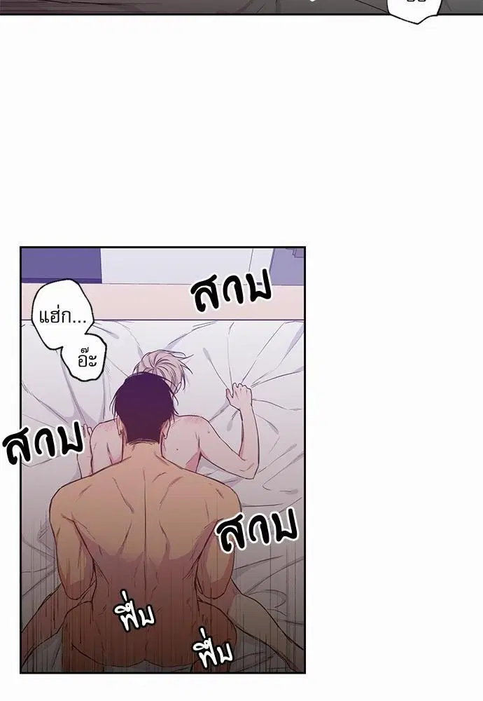 No Love Zone ตอนที่ 41 หน้า 2