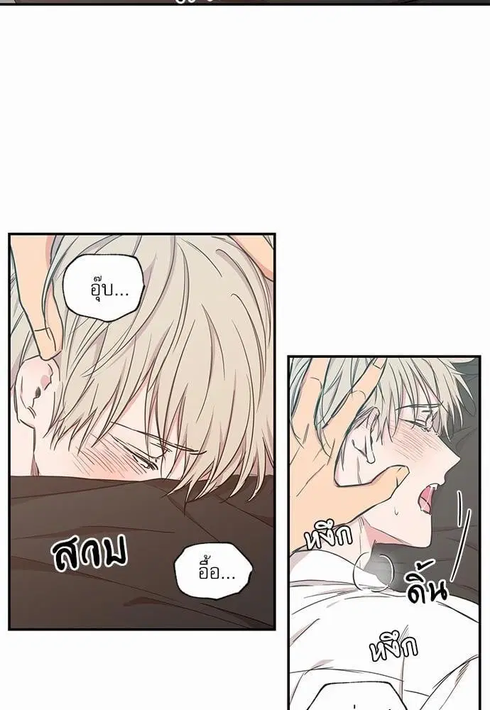 No Love Zone ตอนที่ 46 หน้า 2