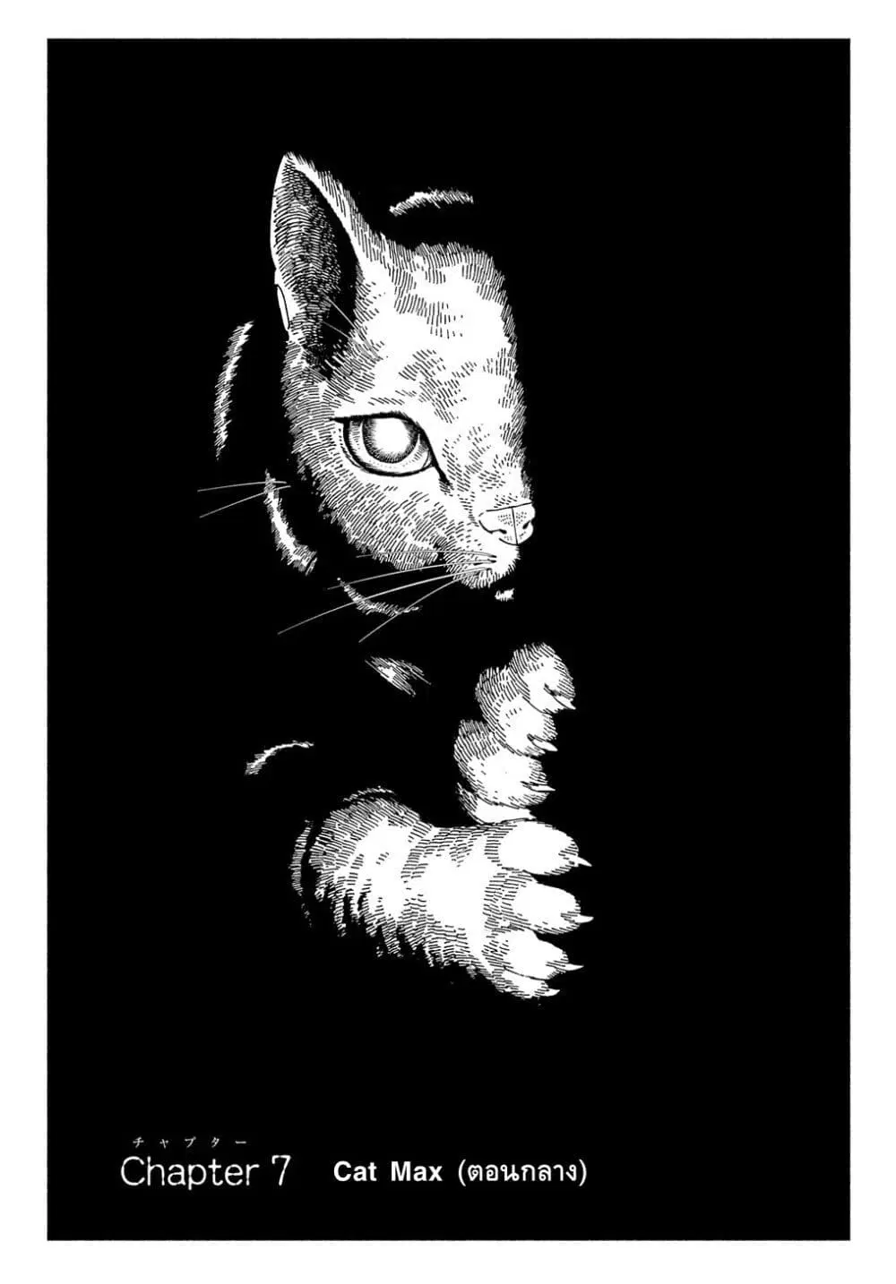Nyaight of the Living Cat ตอนที่ 7.2 หน้า 1