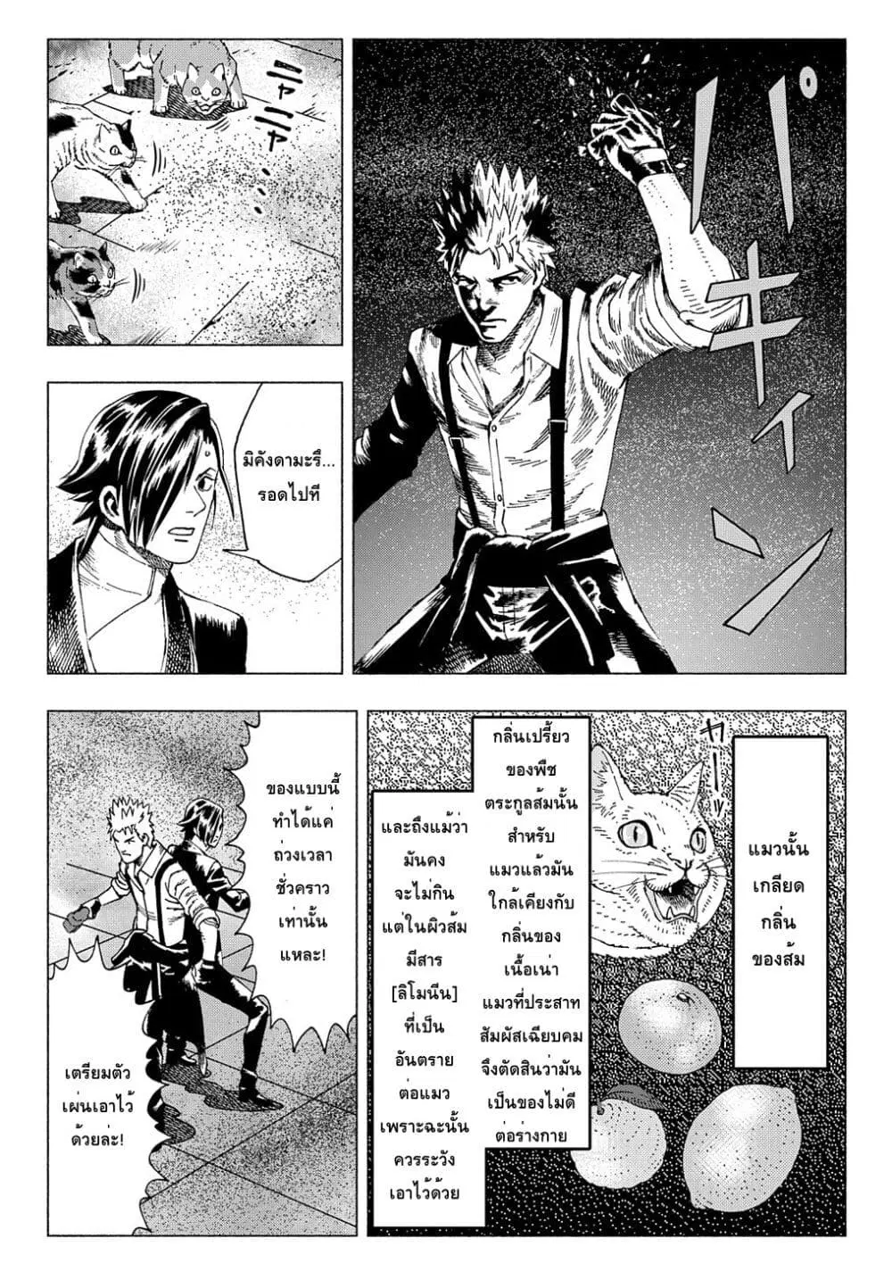 Nyaight of the Living Cat ตอนที่ 8.3 หน้า 3
