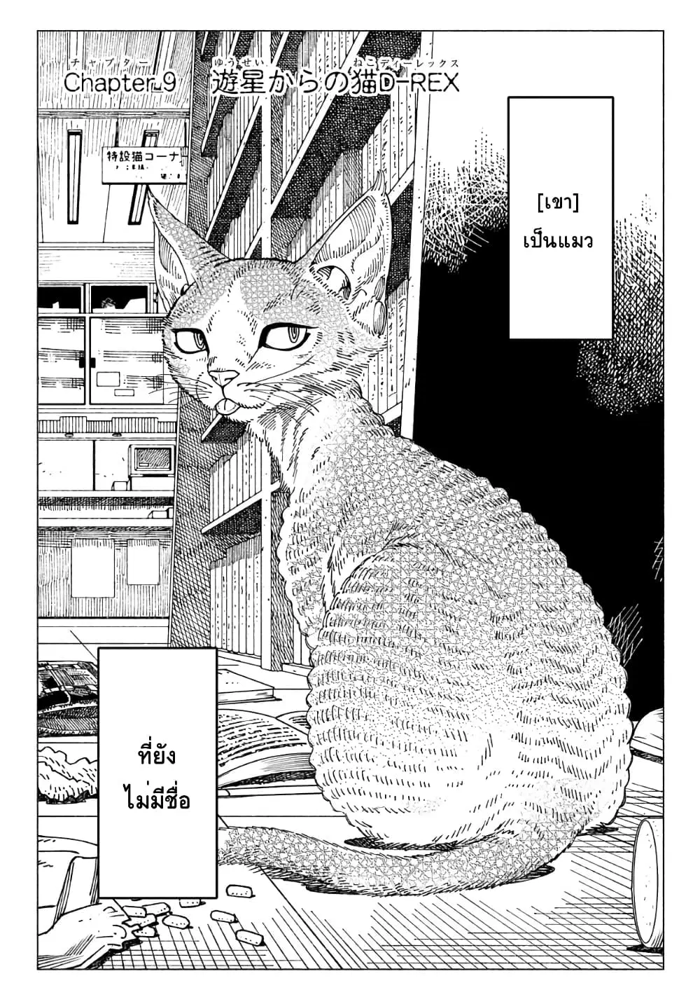 Nyaight of the Living Cat ตอนที่ 9.1 หน้า 1