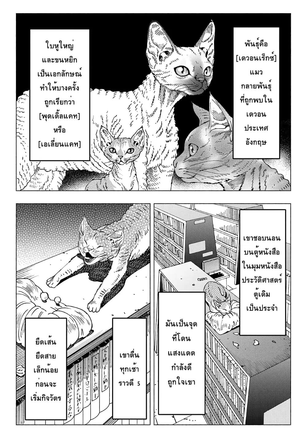 Nyaight of the Living Cat ตอนที่ 9.1 หน้า 2