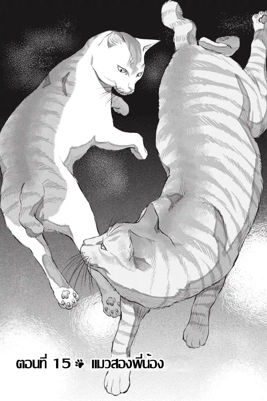 Nyankees ตอนที่ 15 หน้า 1