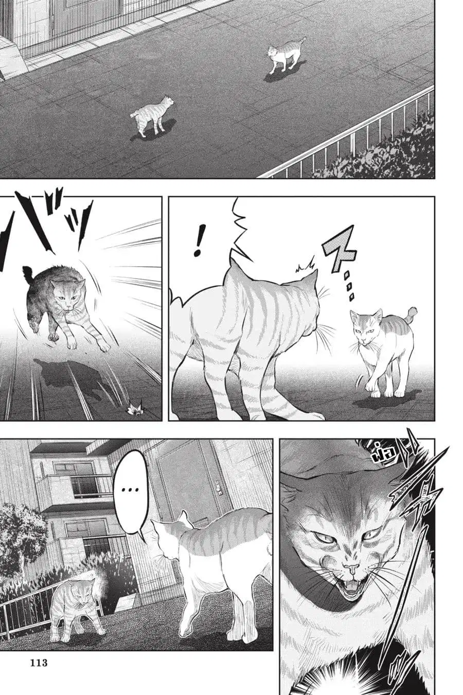 Nyankees ตอนที่ 15 หน้า 3
