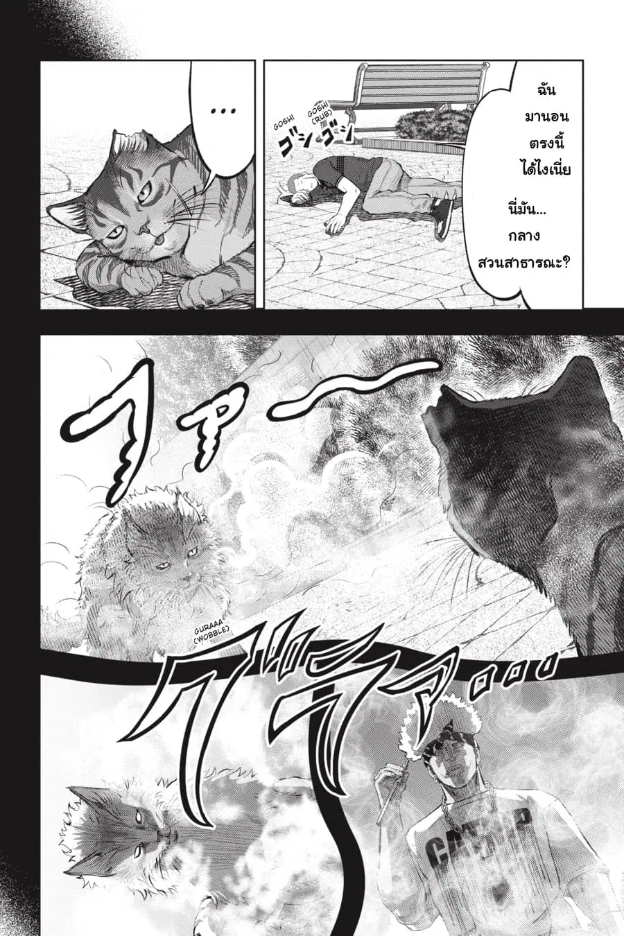 Nyankees ตอนที่ 16 หน้า 2