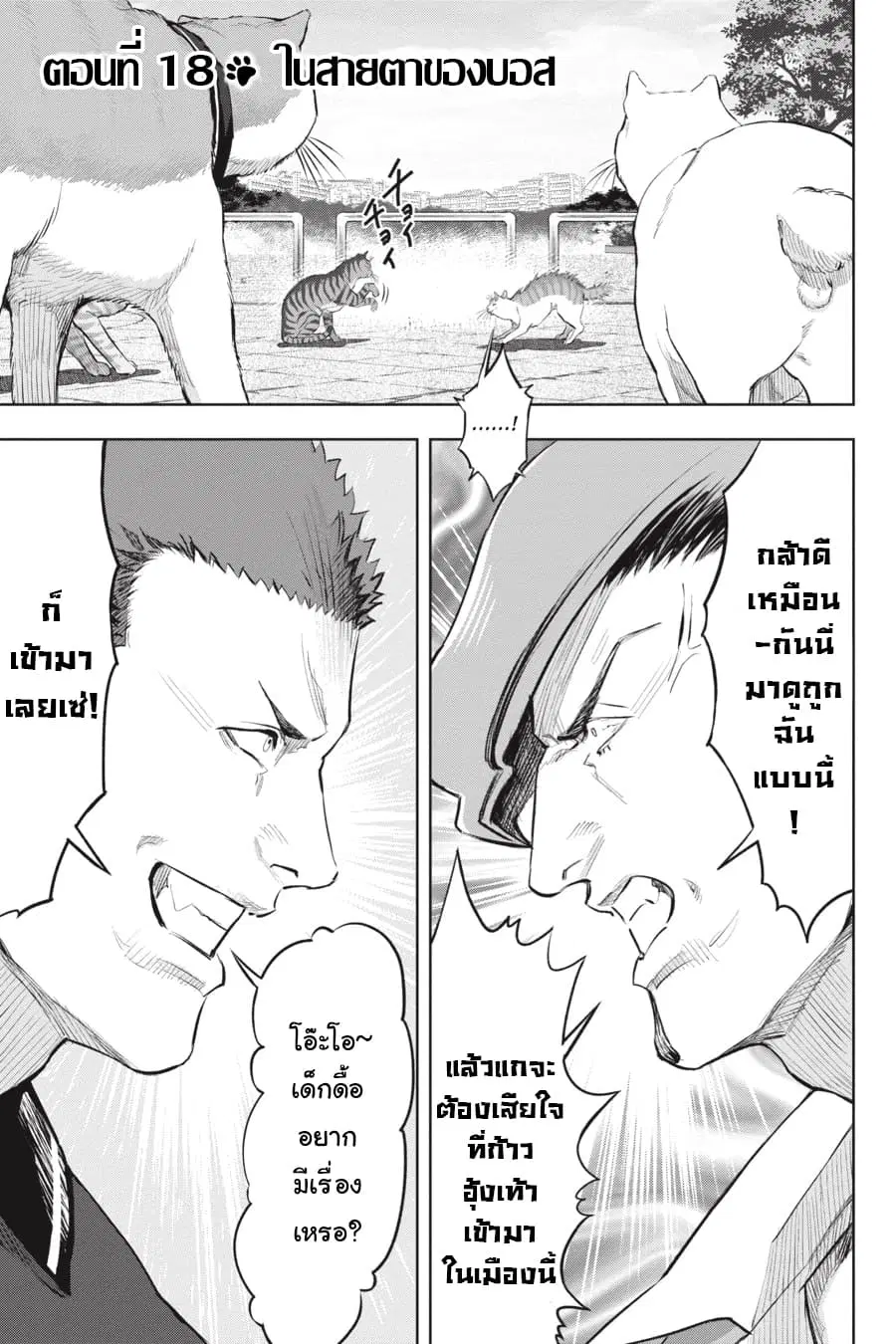 Nyankees ตอนที่ 18 หน้า 1