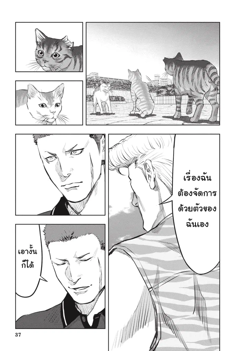 Nyankees ตอนที่ 18 หน้า 3