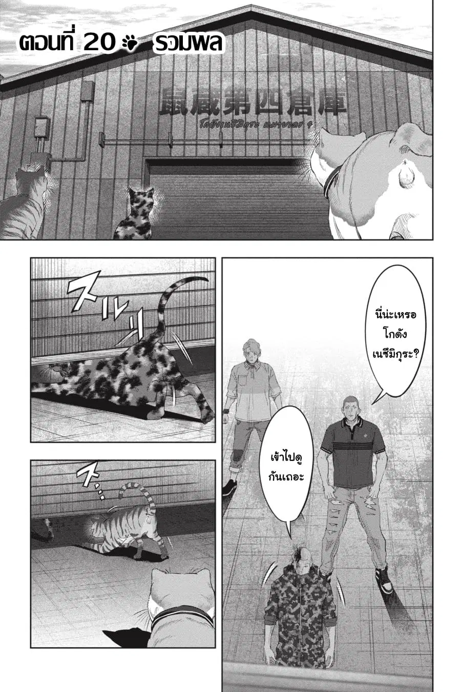 Nyankees ตอนที่ 20 หน้า 1