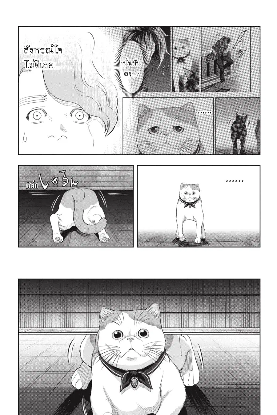 Nyankees ตอนที่ 20 หน้า 3