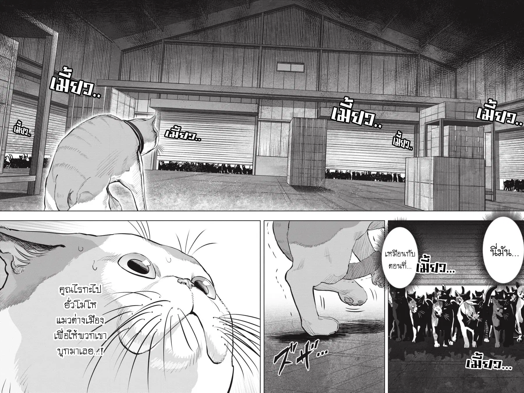 Nyankees ตอนที่ 21 หน้า 2
