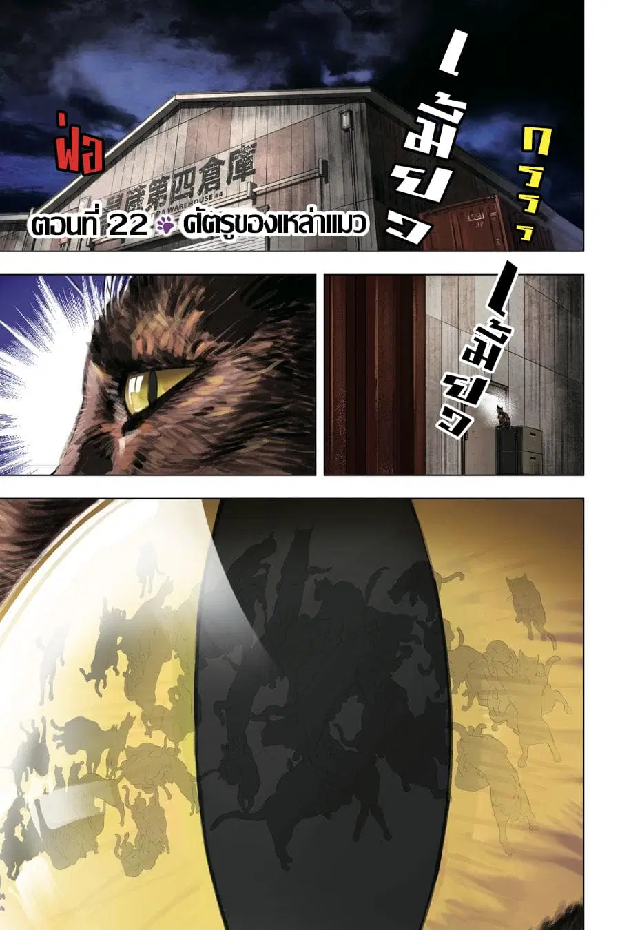 Nyankees ตอนที่ 22 หน้า 2