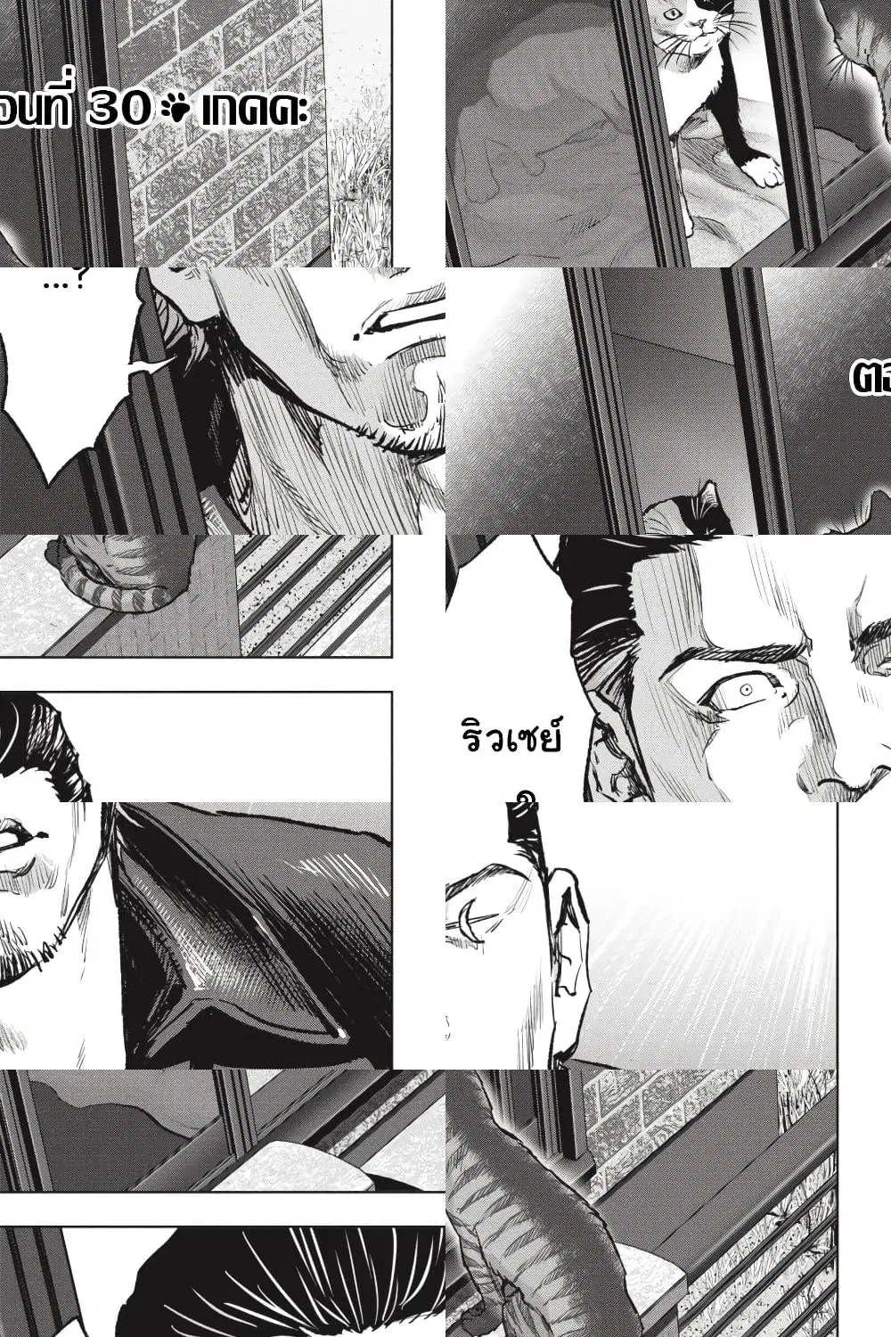 Nyankees ตอนที่ 30 หน้า 1