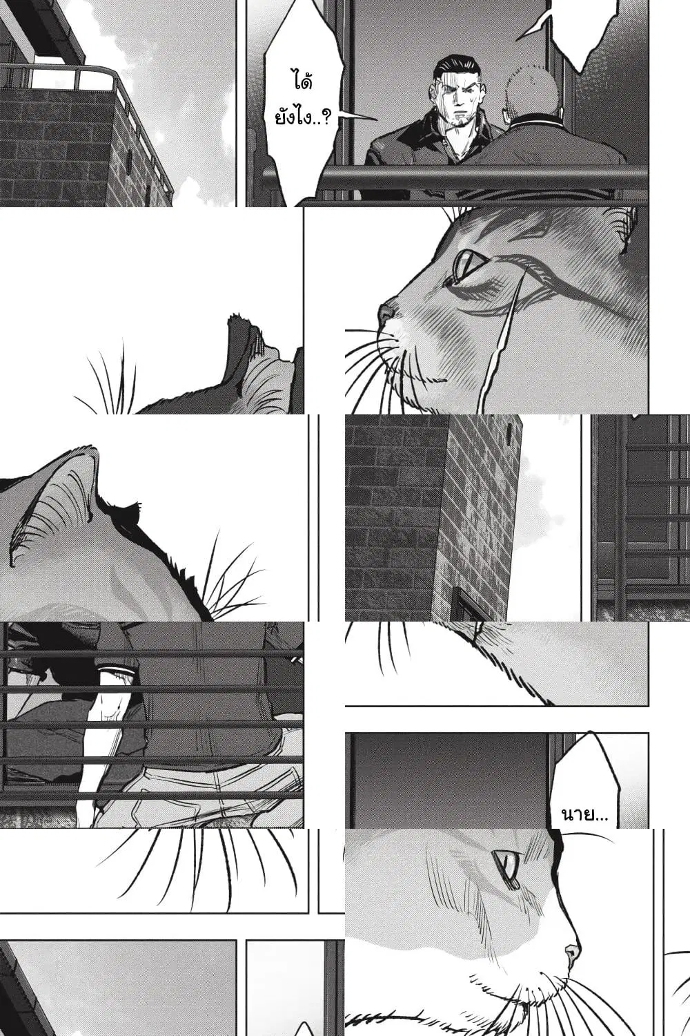 Nyankees ตอนที่ 30 หน้า 3