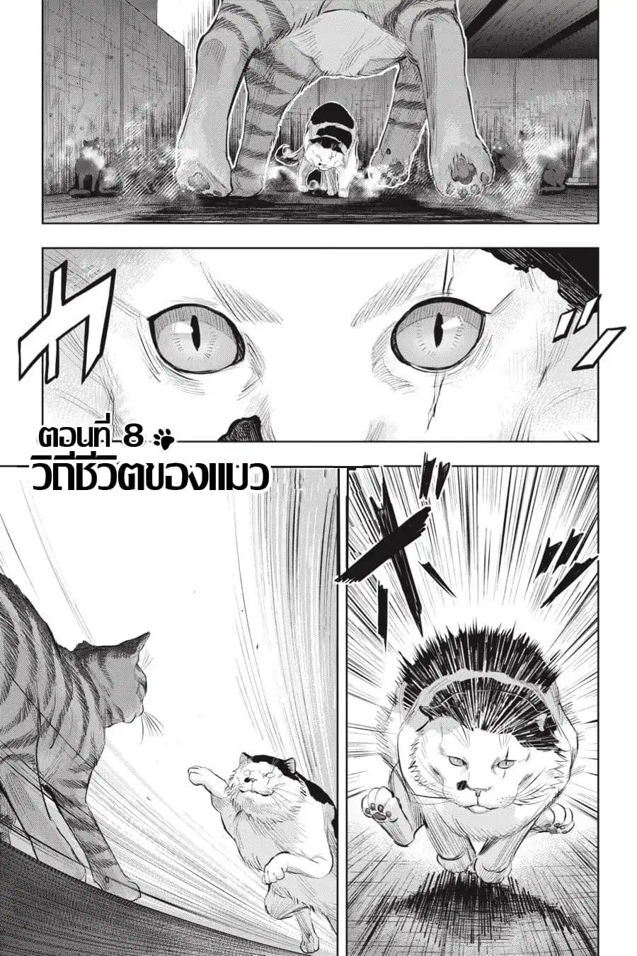 Nyankees ตอนที่ 8 หน้า 1