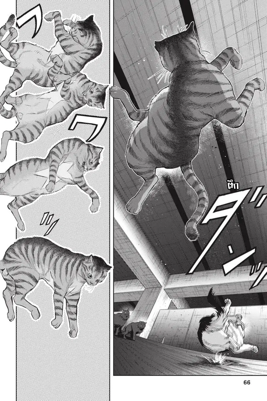 Nyankees ตอนที่ 9 หน้า 2