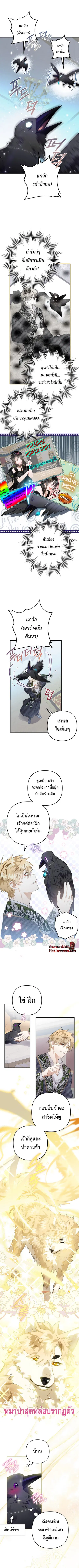 Of All Things I Became a Crow ตอนที่ 13 หน้า 1