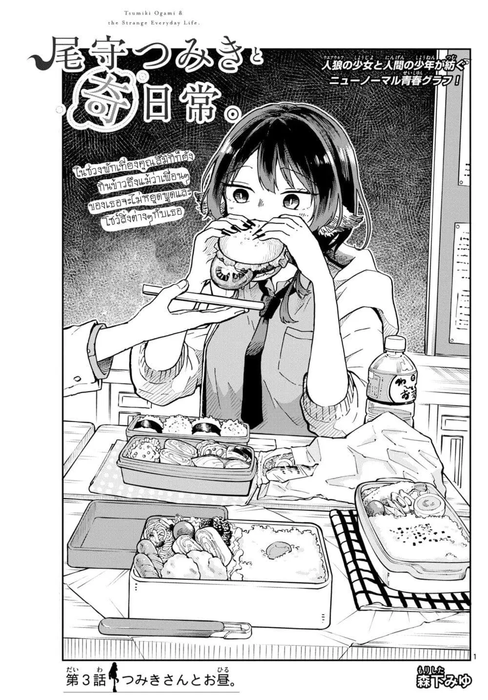 Ogami Tsumiki to Kinichijou. ตอนที่ 3 หน้า 1