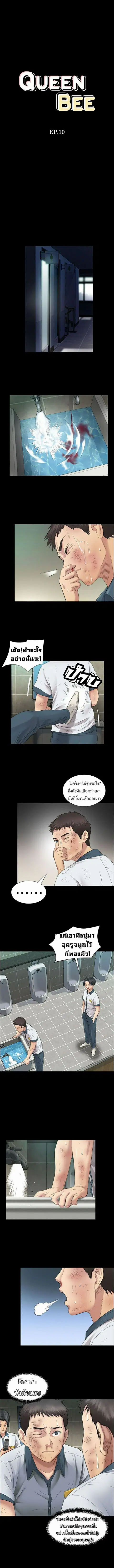 Queen Bee ตอนที่ 10 หน้า 3