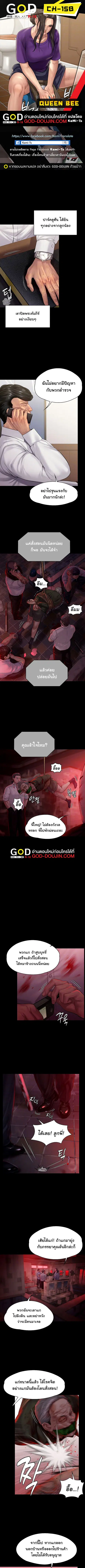 Queen Bee ตอนที่ 158 หน้า 1