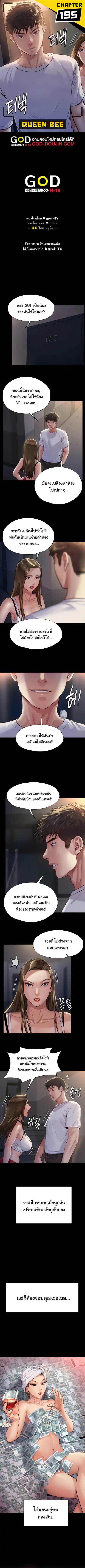 Queen Bee ตอนที่ 195 หน้า 1