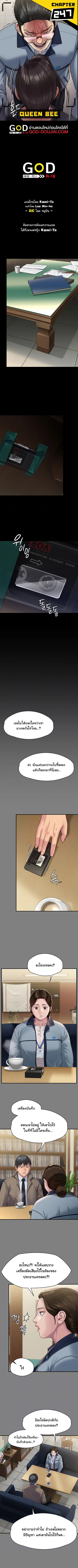 Queen Bee ตอนที่ 247 หน้า 1
