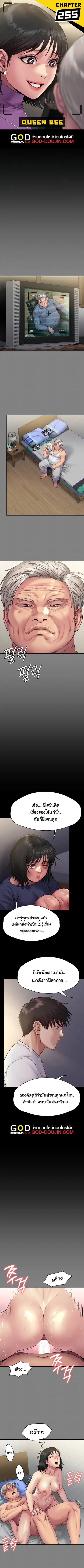 Queen Bee ตอนที่ 255 หน้า 1