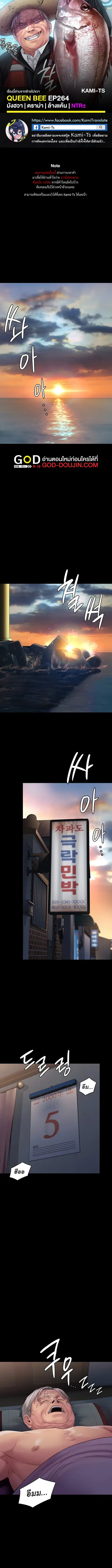 Queen Bee ตอนที่ 264 หน้า 1