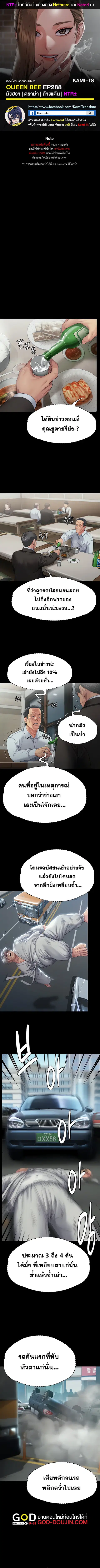 Queen Bee ตอนที่ 288 หน้า 1