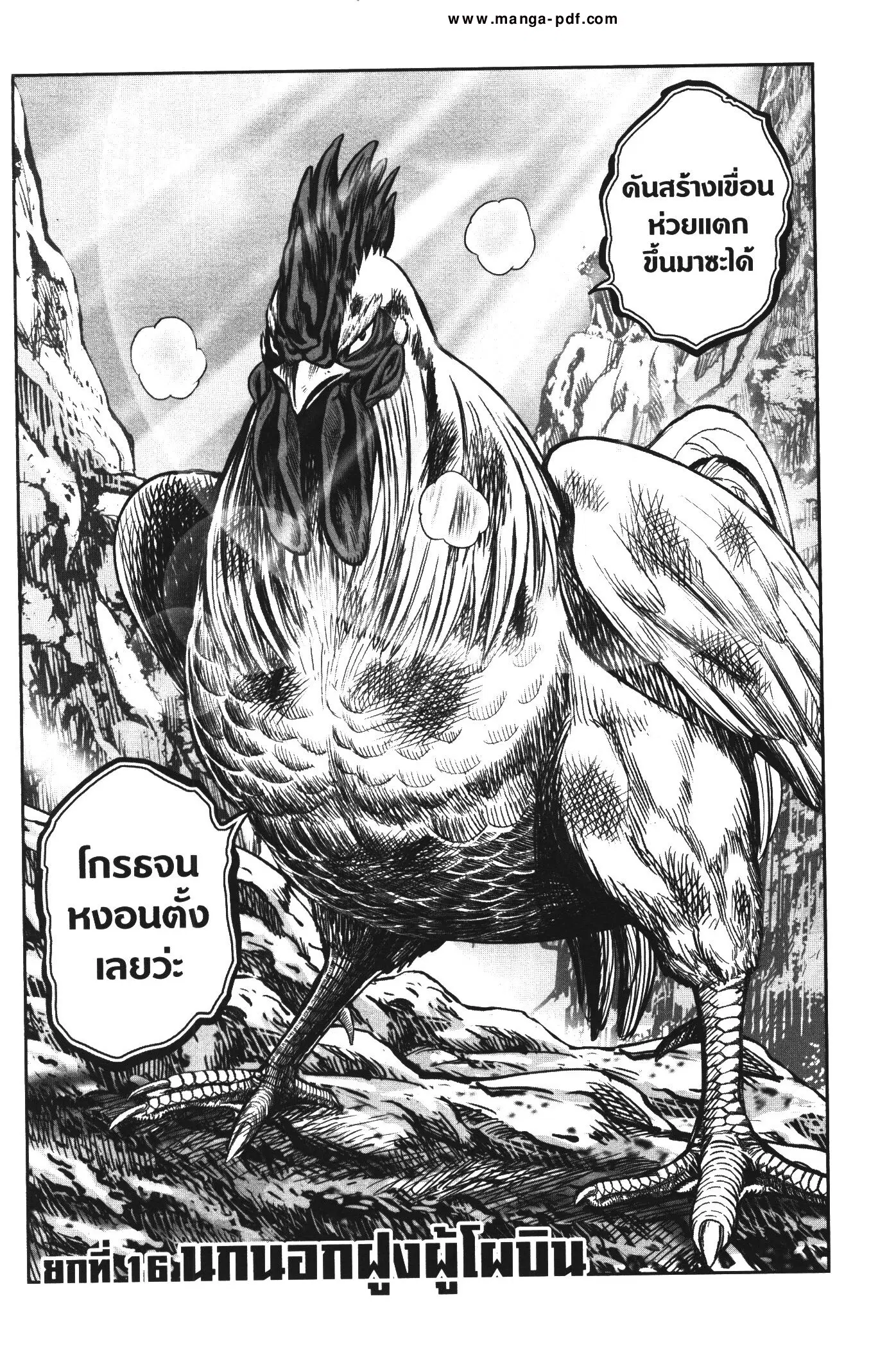 Rooster Fighter ตอนที่ 16 หน้า 3