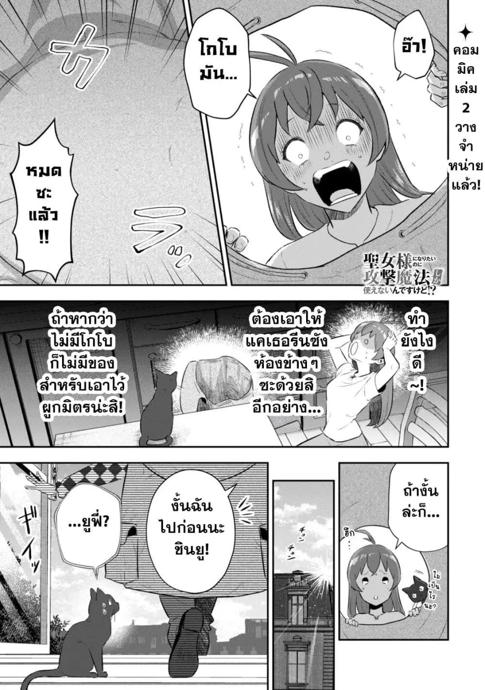 Seijo Sama Ni Naritainoni Kogeki Maho Shika Tsukaenai Ndesukedo!? ตอนที่ 12.5 หน้า 2