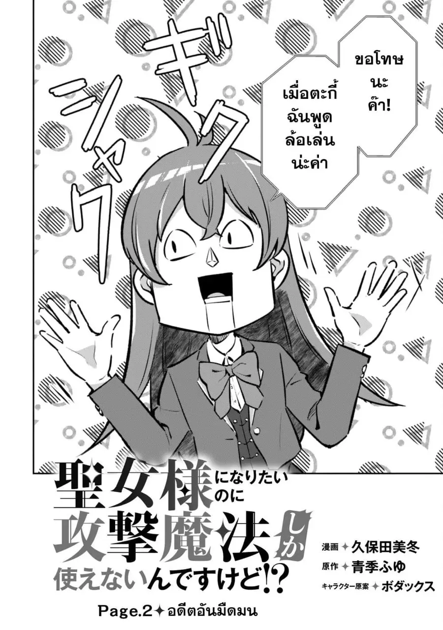 Seijo Sama Ni Naritainoni Kogeki Maho Shika Tsukaenai Ndesukedo! ตอนที่ 2 หน้า 3
