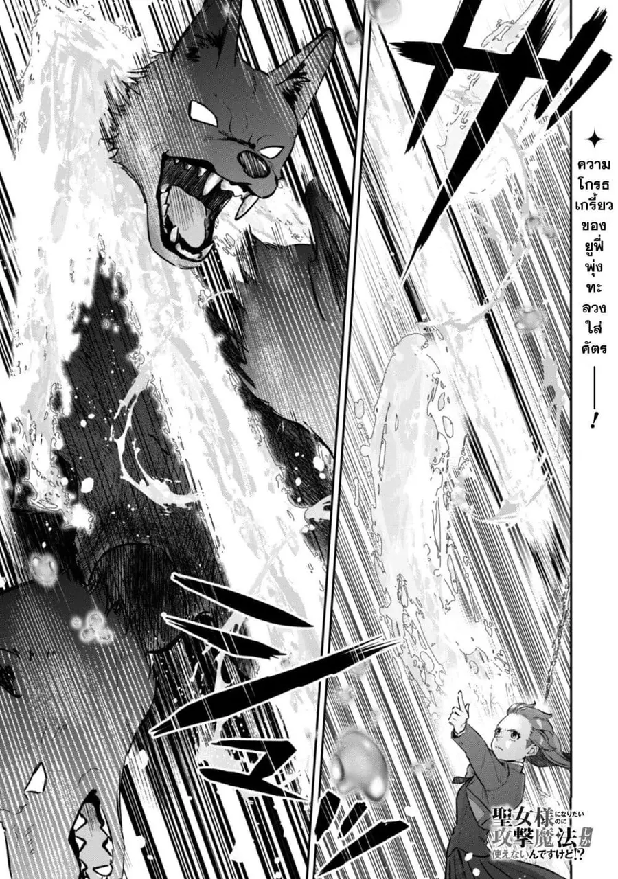 Seijo Sama Ni Naritainoni Kogeki Maho Shika Tsukaenai Ndesukedo! ตอนที่ 6 หน้า 2