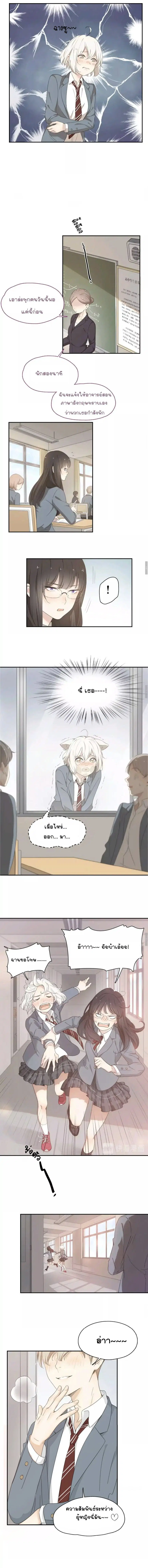 She Is Also Cute Today ตอนที่ 8 หน้า 3