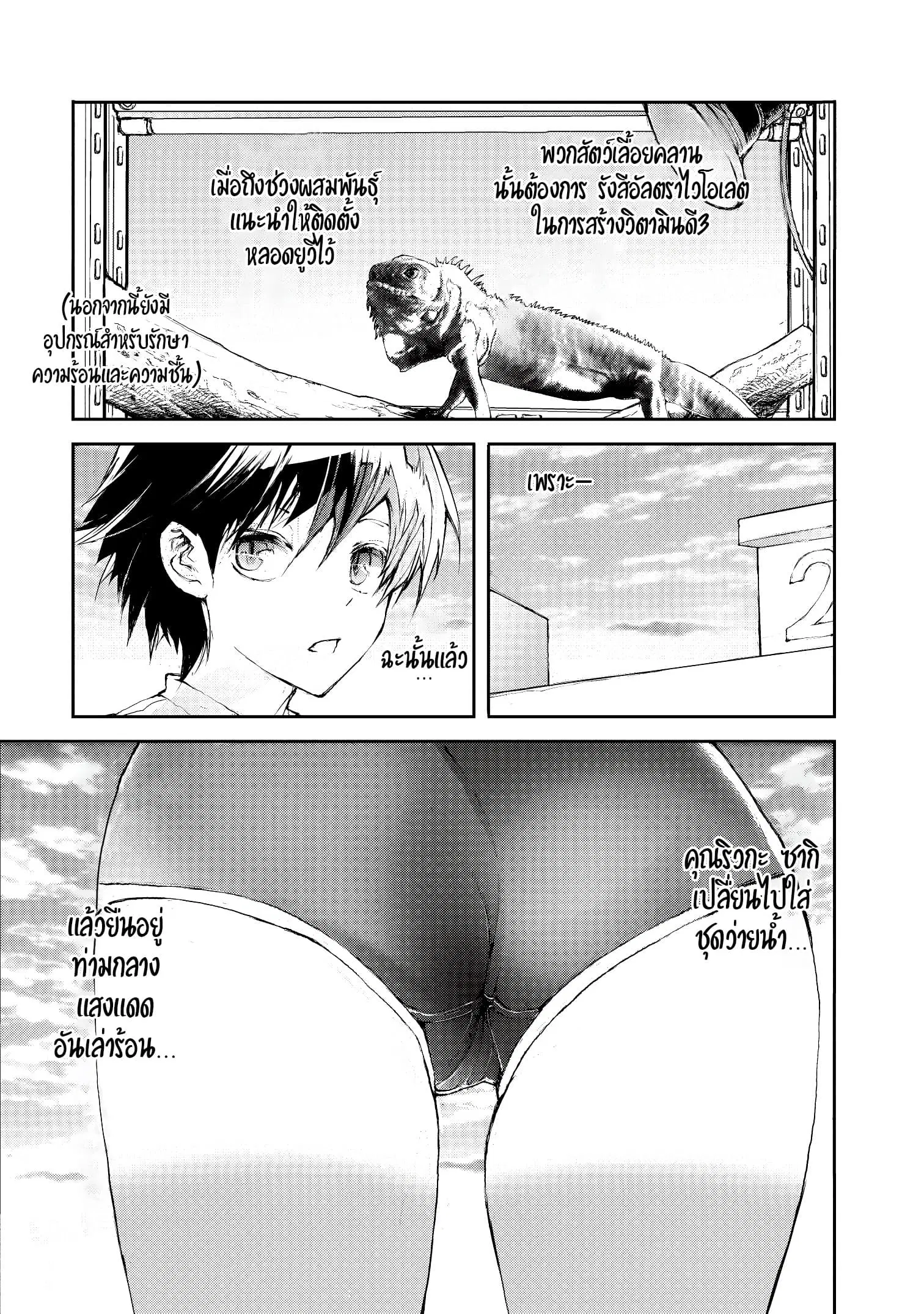 Shed! Ryugasaki-San ตอนที่ 4 หน้า 3