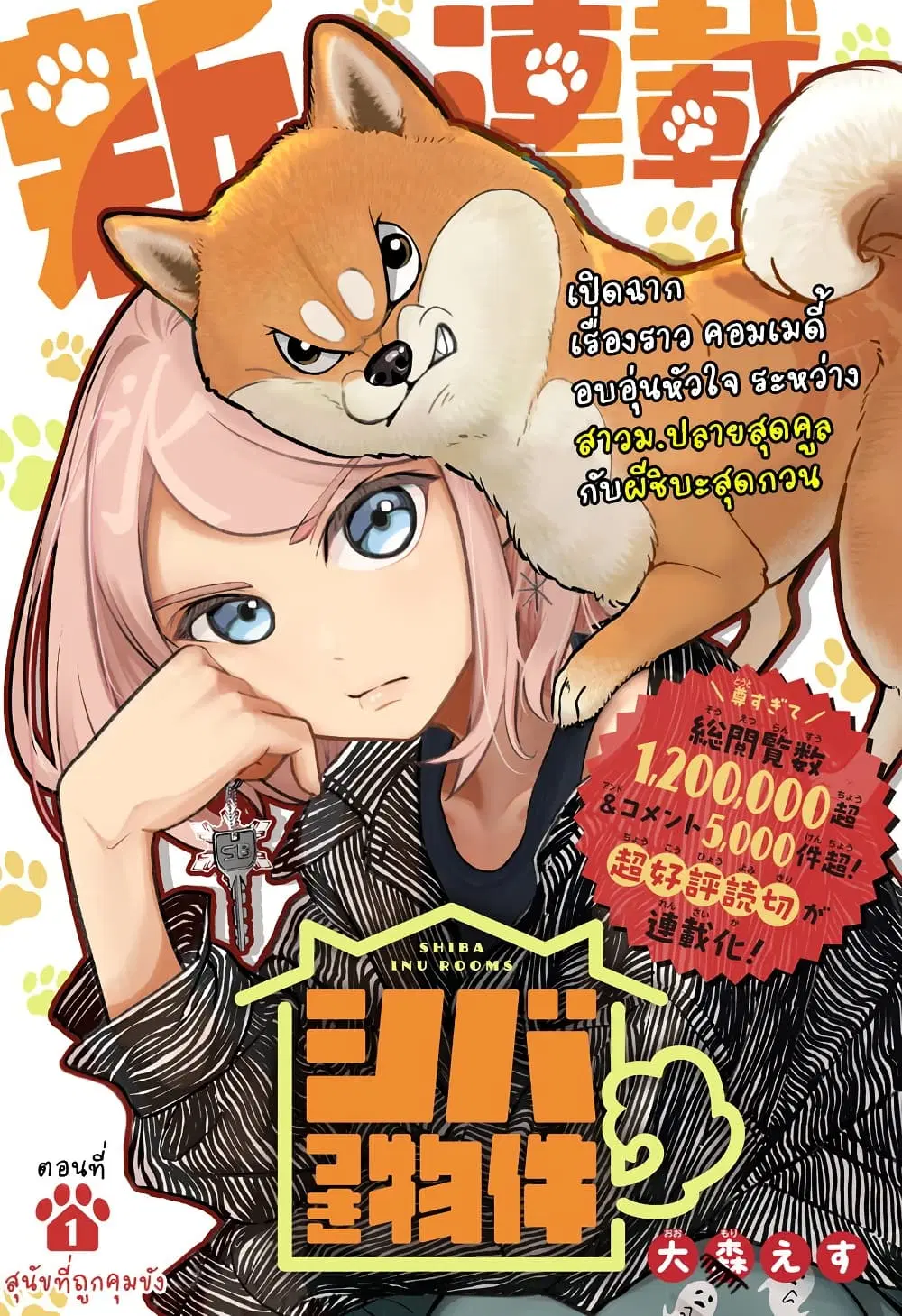 Shiba Inu Rooms ตอนที่ 1 หน้า 1