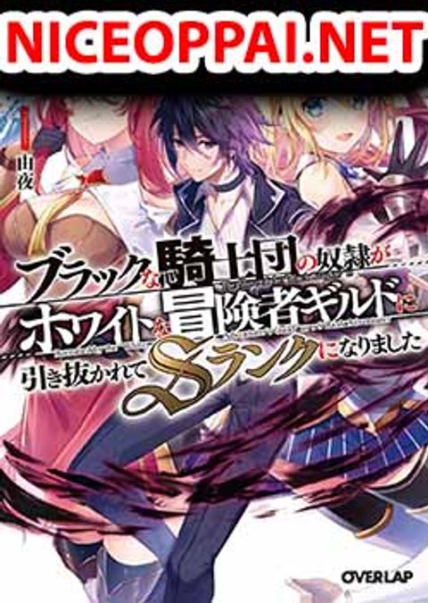 ปก Slave of Black Knight มังงะญี่ปุ่น แปลไทย