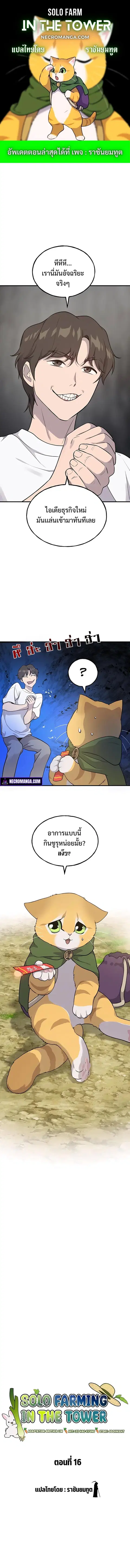 Solo Farming In The Tower ตอนที่ 16 หน้า 1