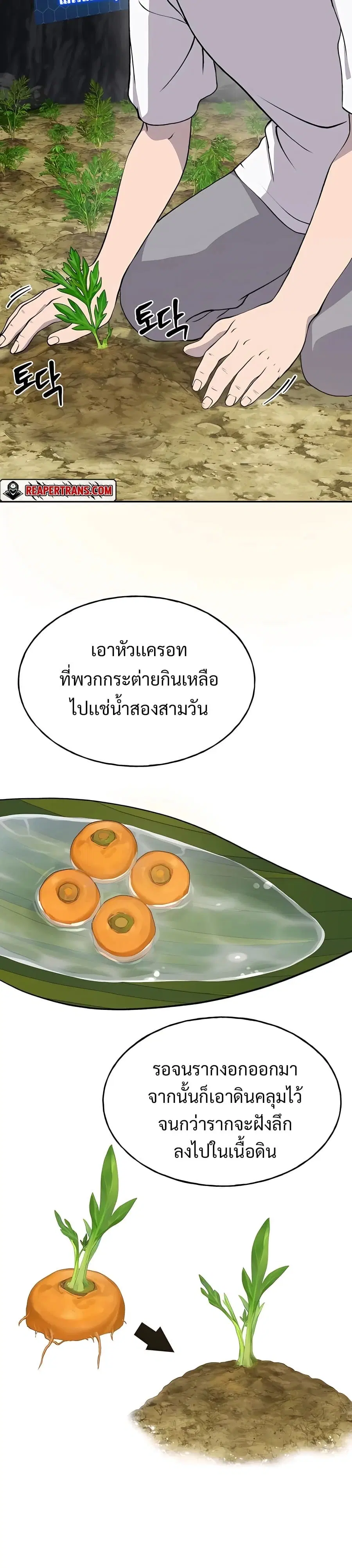 Solo Farming In The Tower ตอนที่ 22 หน้า 3