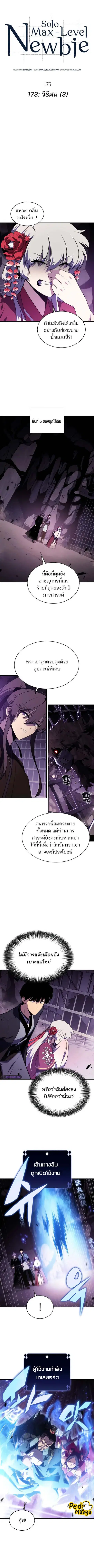 Solo Max-Level Newbie ตอนที่ 173 หน้า 3
