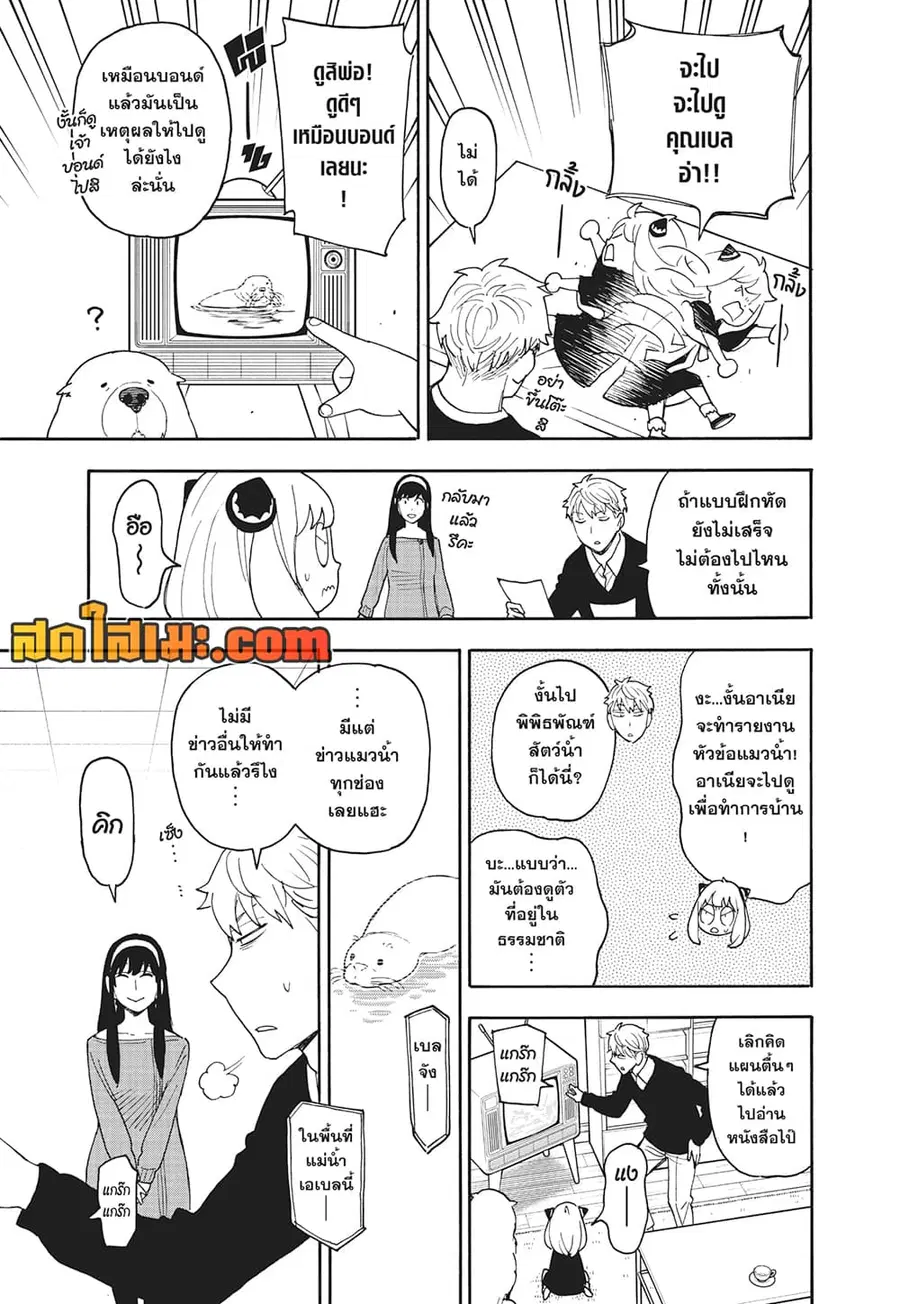 Spy X Family ตอนที่ 103 หน้า 3