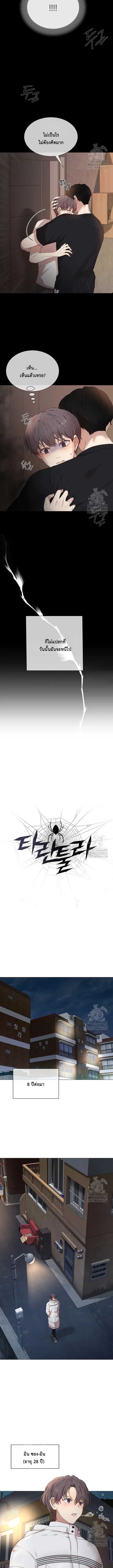 Tarantula ตอนที่ 1 หน้า 3