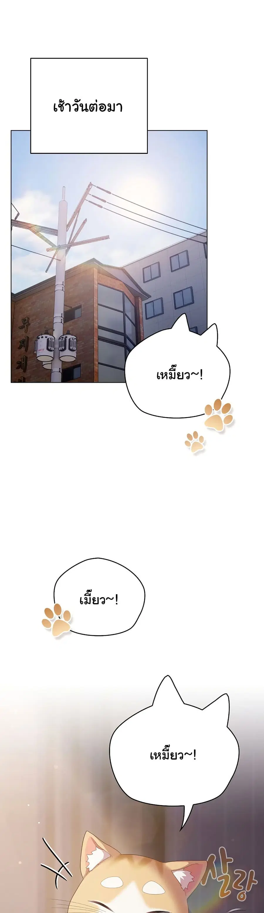 The General Is Here! ตอนที่ 18 หน้า 2