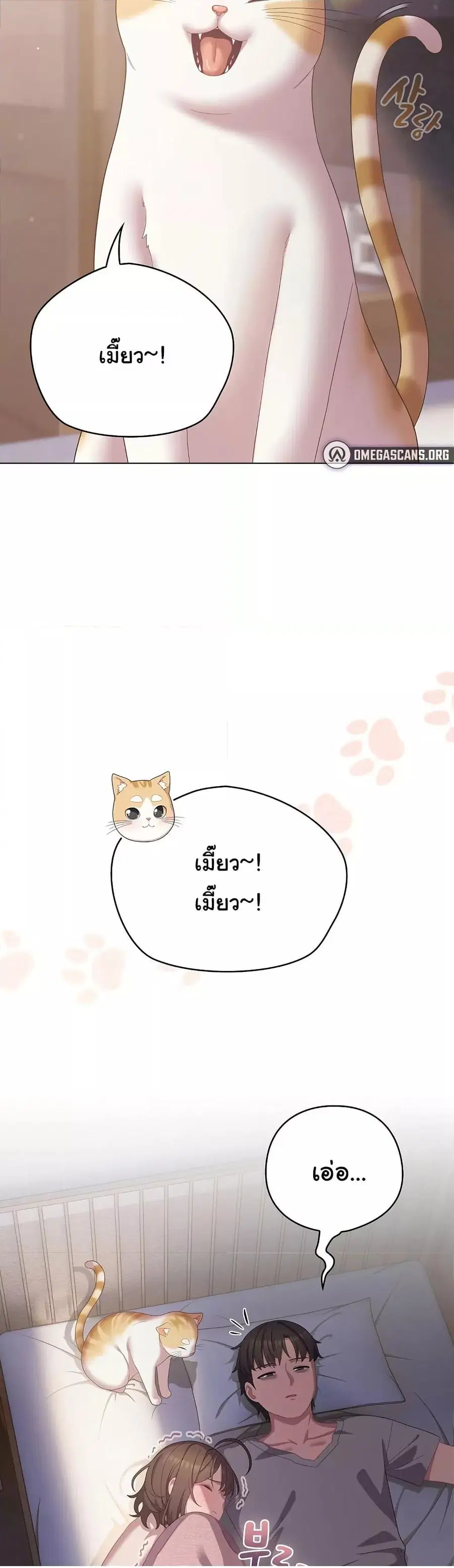 The General Is Here! ตอนที่ 18 หน้า 3