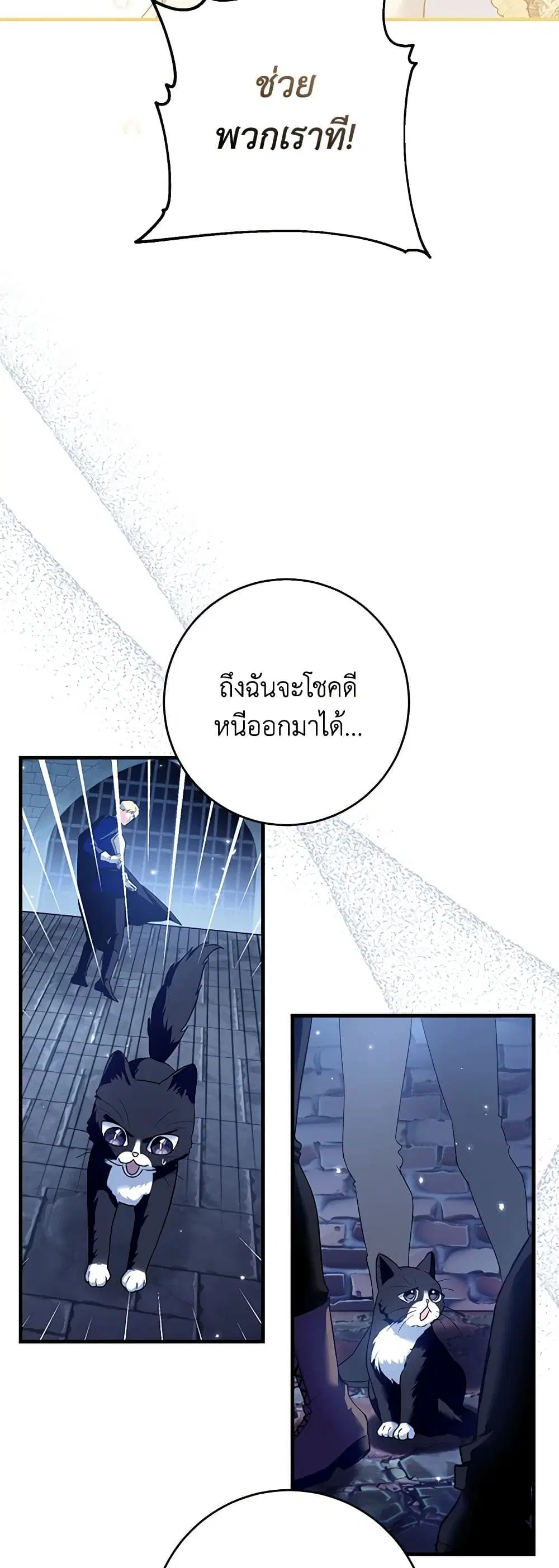 The Heroine Wants Me As Her Sister-in-Law ตอนที่ 49 หน้า 1