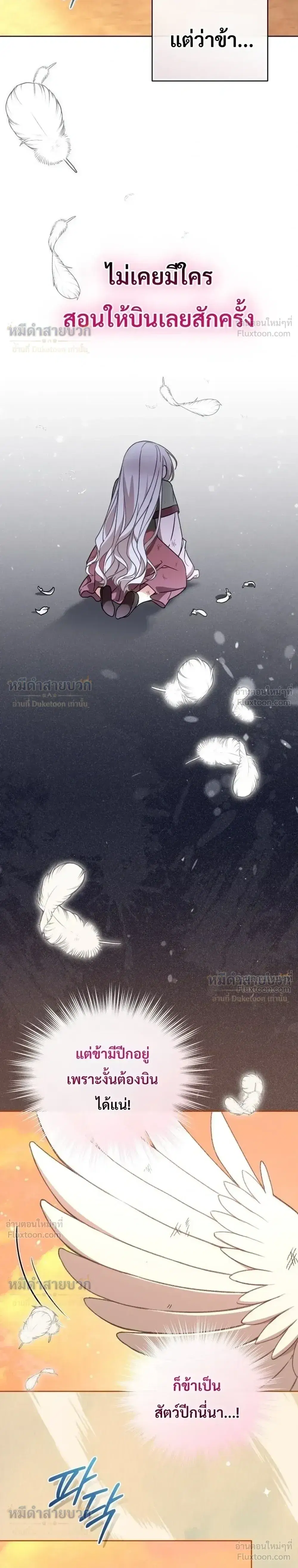 The Little Fluff of the White Tiger Family ตอนที่ 31 หน้า 2