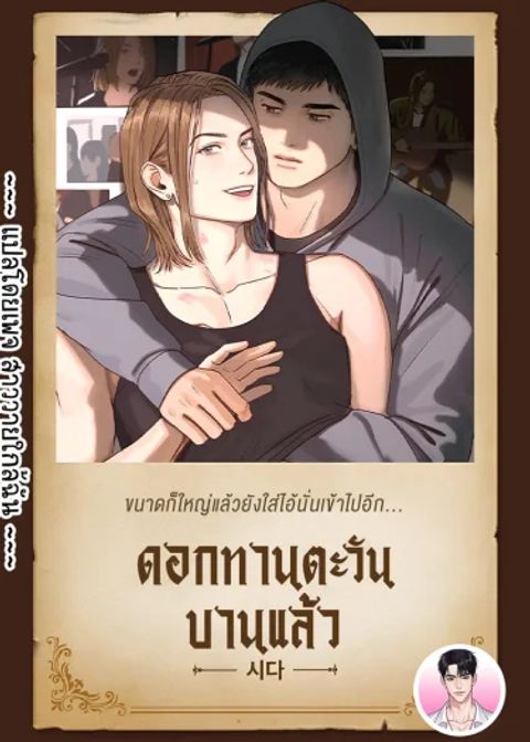 ปก The Sunflower Has Bloomed มังงะเกาหลี แปลไทย