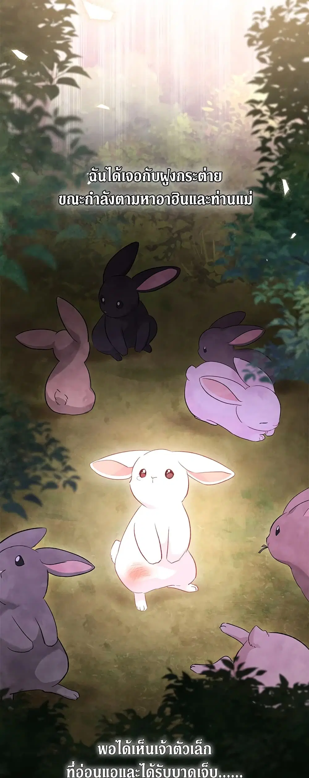 The Symbiotic Relationship Between a Panther and a Rabbit ตอนที่ 82 หน้า 3